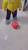 Load and play video in Gallery viewer, Pet’sGo!™ Discky Ball